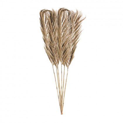 Ramas decorativas j/6 230cm alto  de estil étnico de fibras naturales