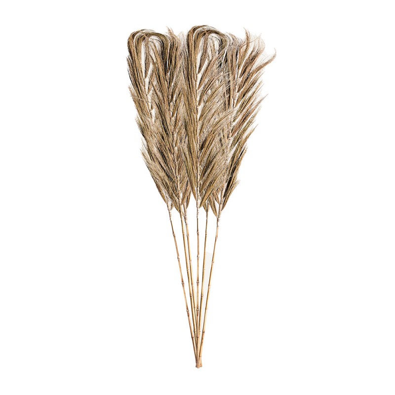 Ramas decorativas j/6 230cm alto  de estil étnico de fibras naturales